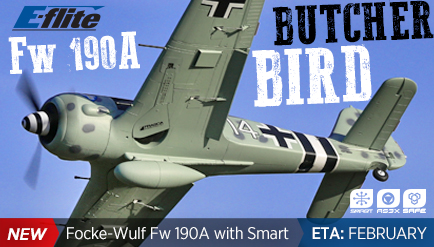 E-Flite Focke-Wulf Fw 190A 1.5m WWII Fighter