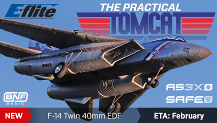 E-Flite F-14 Tomcat 40mm Twin EDF BNF Basic
