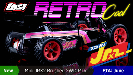 1/16th Mini JRX2 2WD Buggy RTR