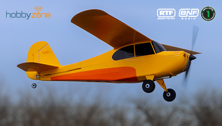 Champ Anniversary Special Edition